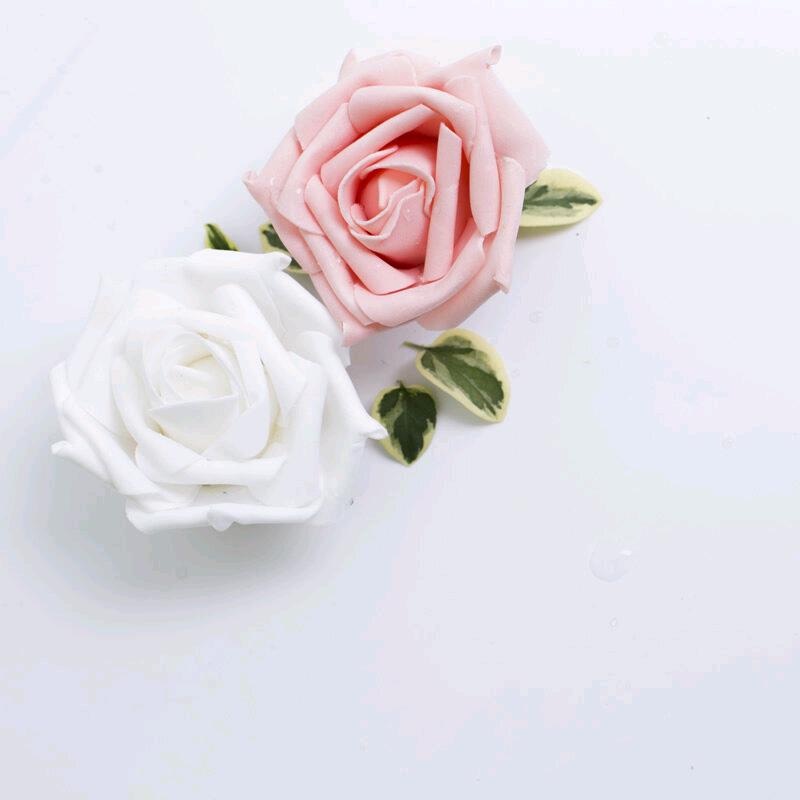 ✍🏻“朝花夕拾“