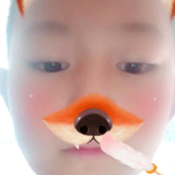 杨飞