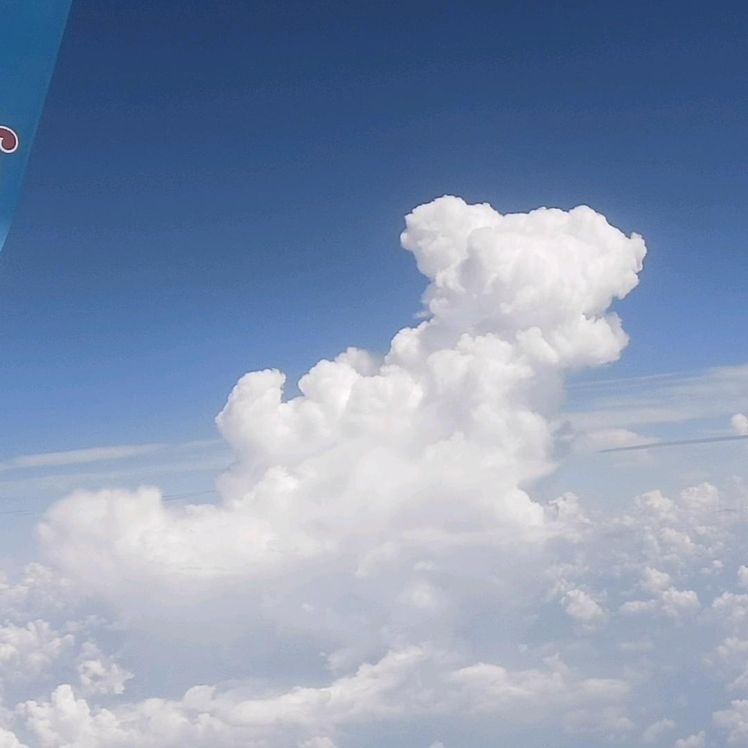 伟师傅安装维修