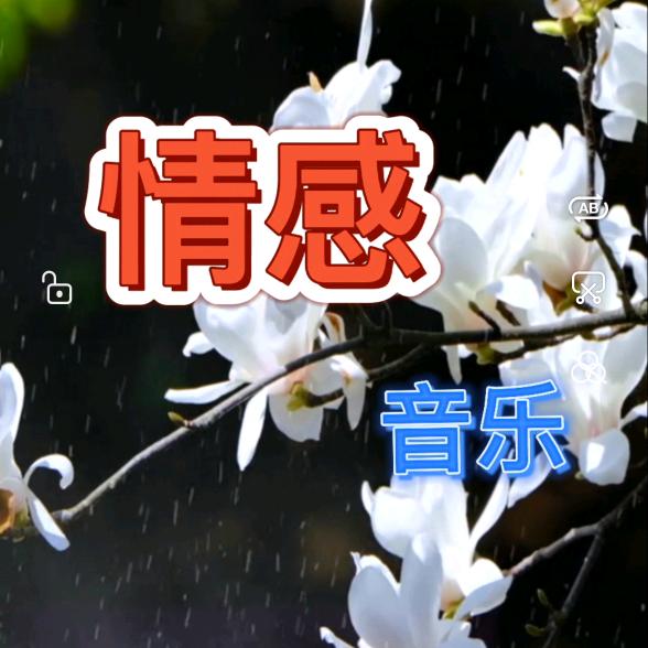 情感～音乐