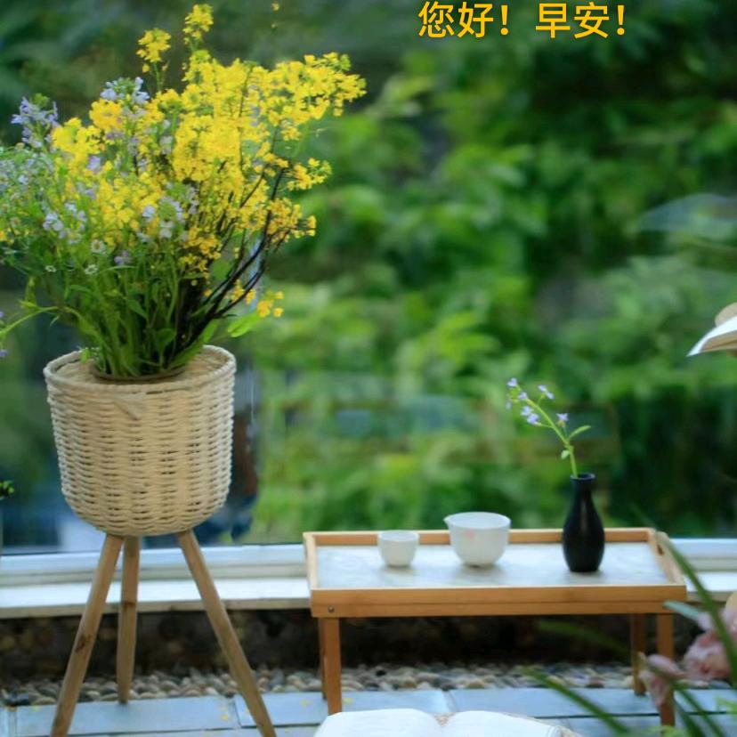 田艺晋品(福田古典家具)