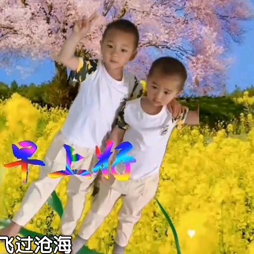 余生❤️随心