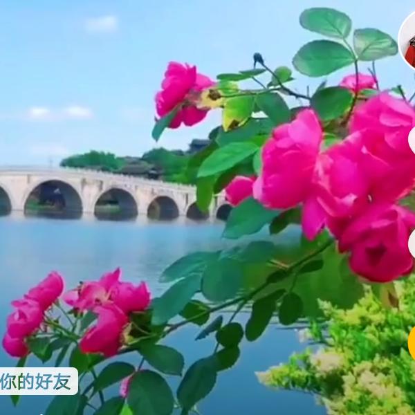 ❤快乐一生❤