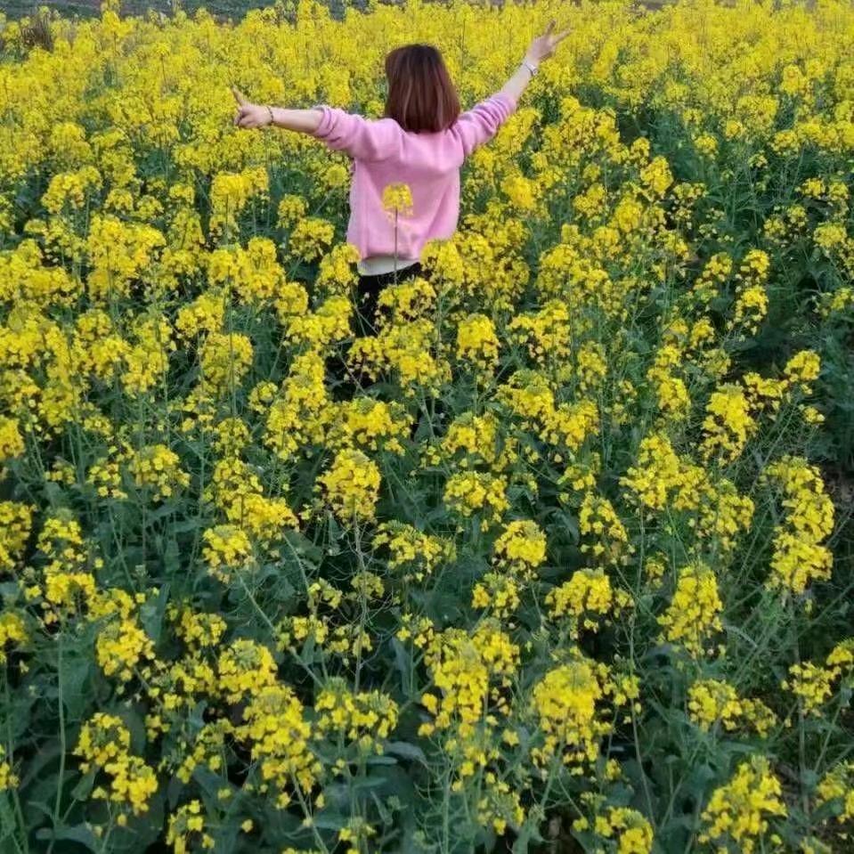 雷妹妹