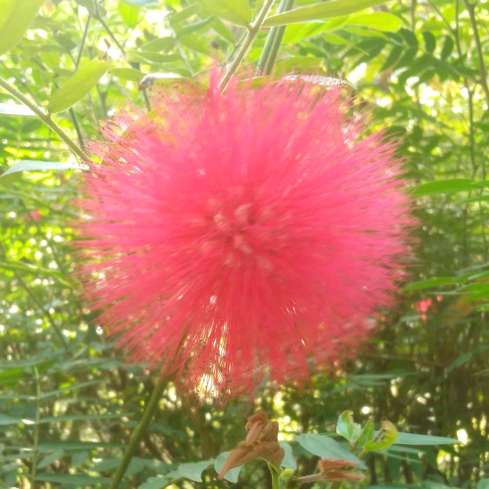 幸福