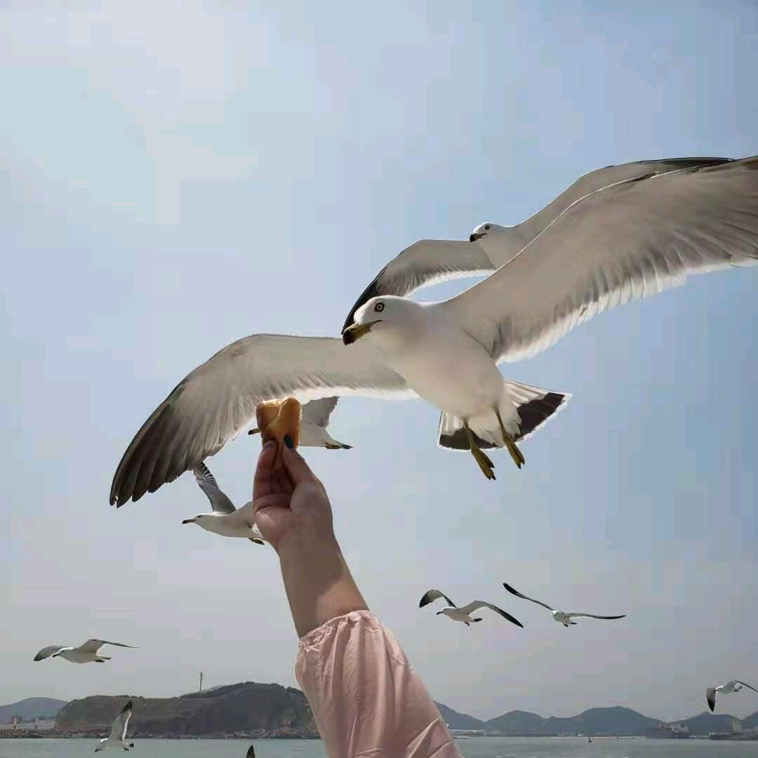 正能量