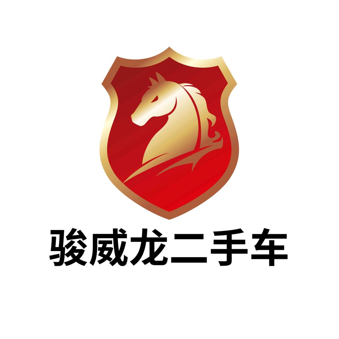 骏威龙二手车