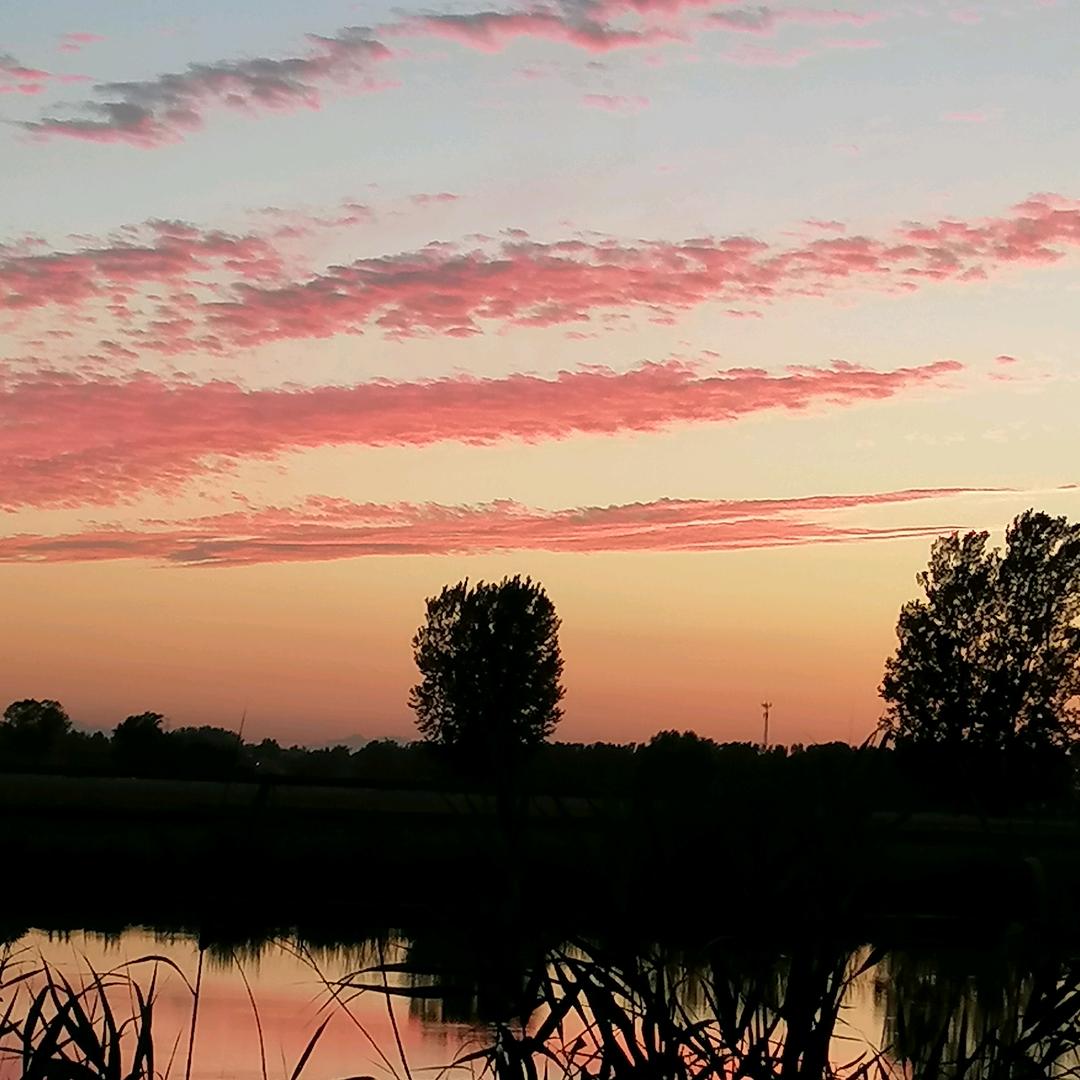 戏如人生《爱唱歌》