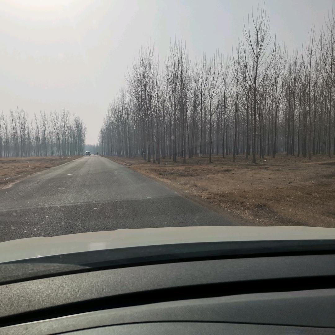 小学生（65%不羁的风）