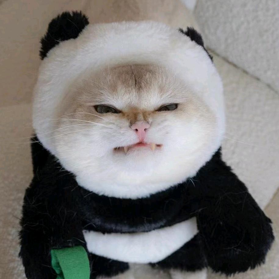 啈冨噯伱①玍