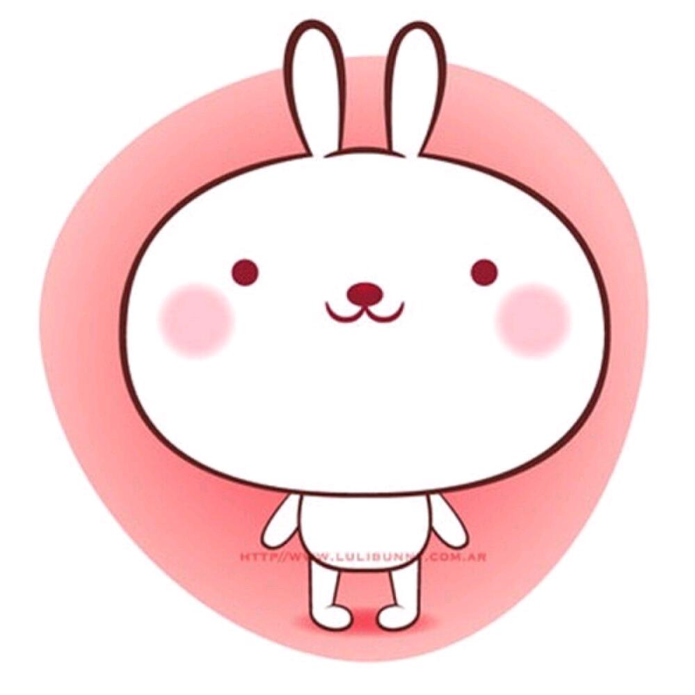 诺泰