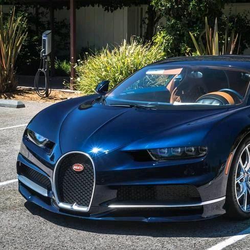 导哥带你看世界