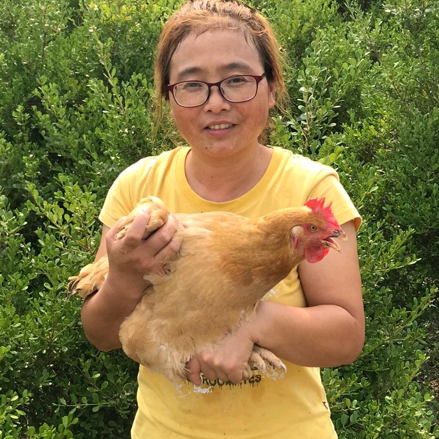 崇明红姐农产品