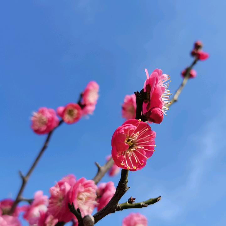 点点星辰