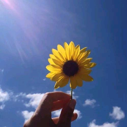 ♛