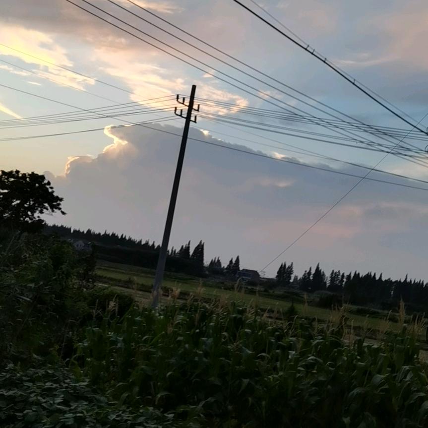 童年时光