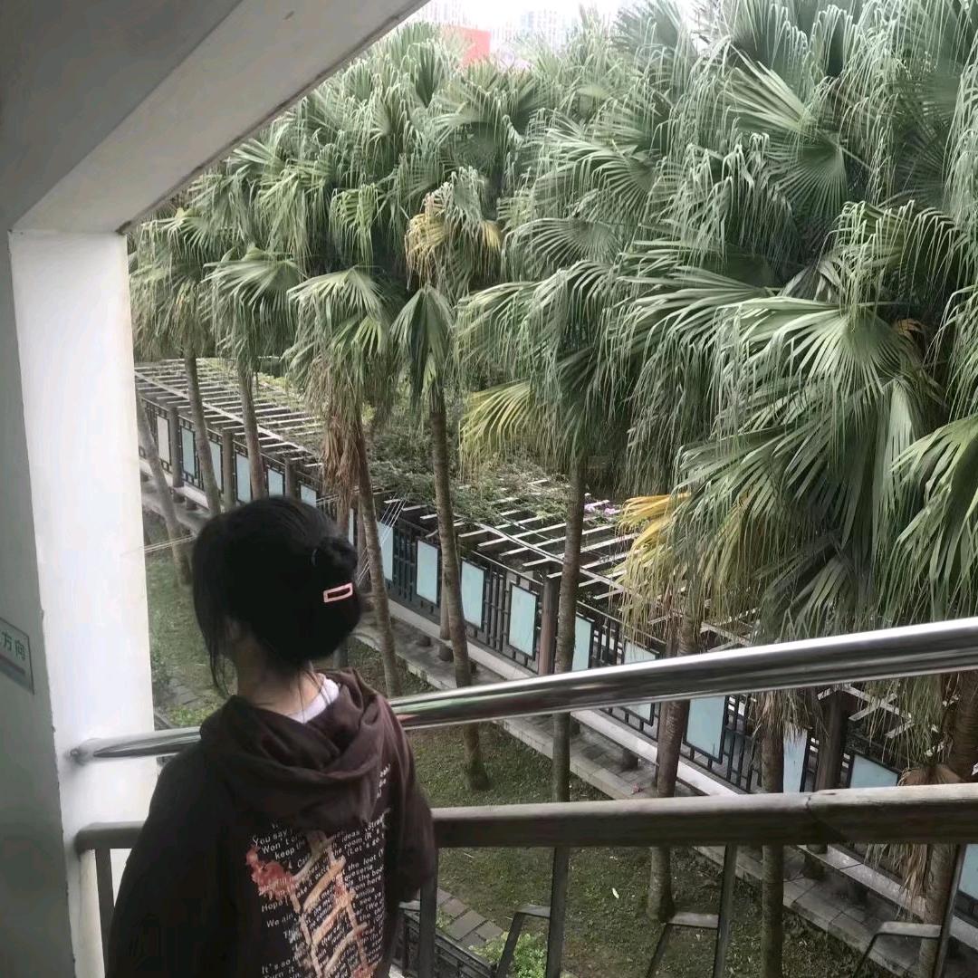 蟑螂飞你脸上了