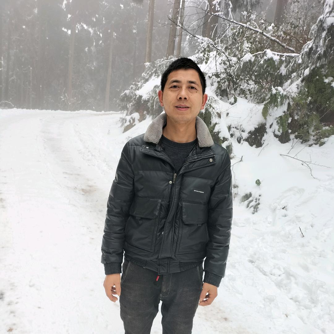 罗不动