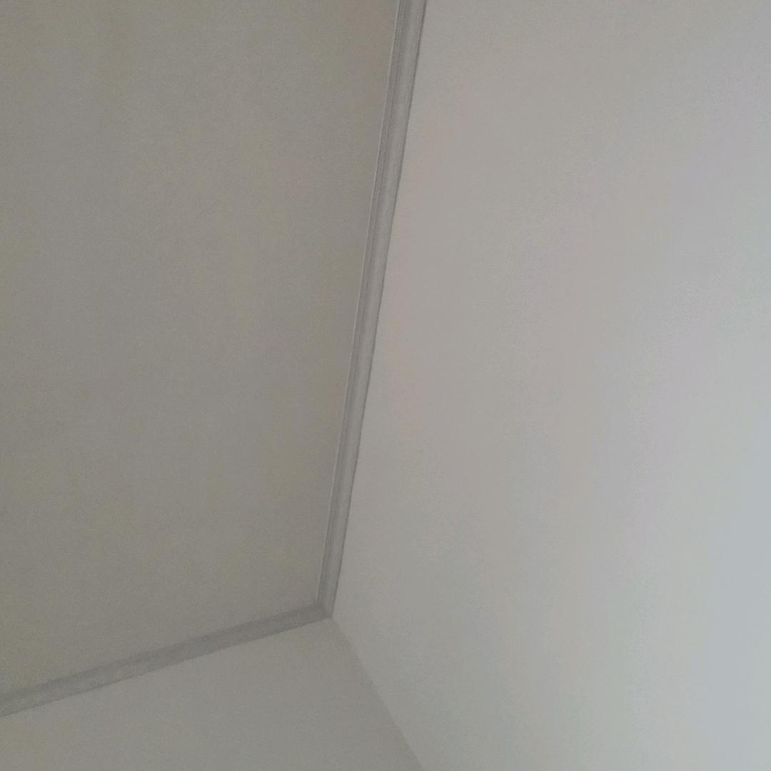 凤红
