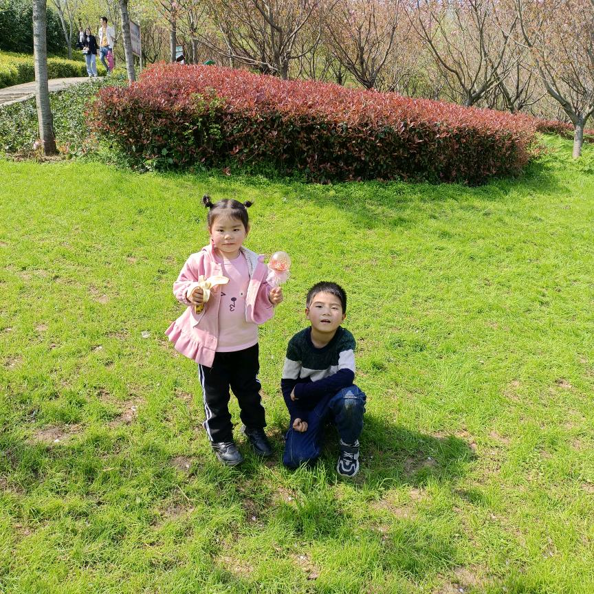 ——所愿皆可得