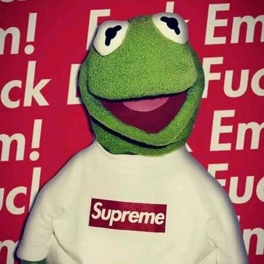 小星不太白@抖音