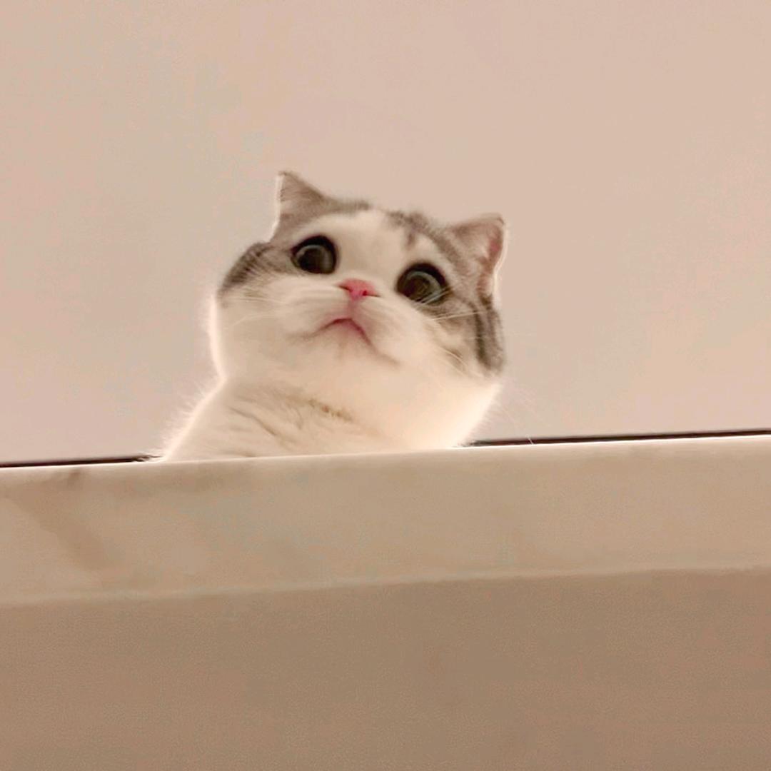 每天睡醒都想暴富