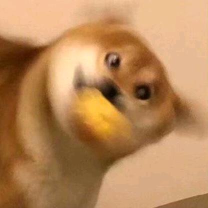 你给我嘎！！！