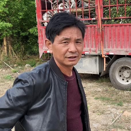农村苗木人潘光明