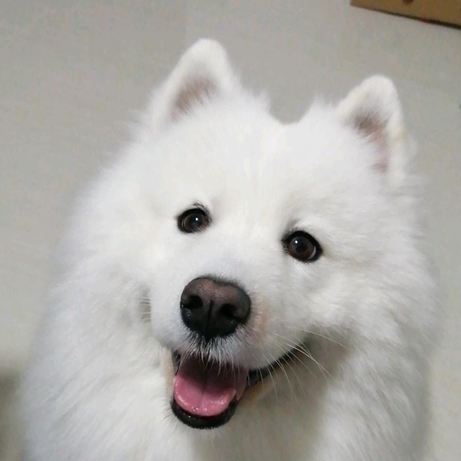 天秤