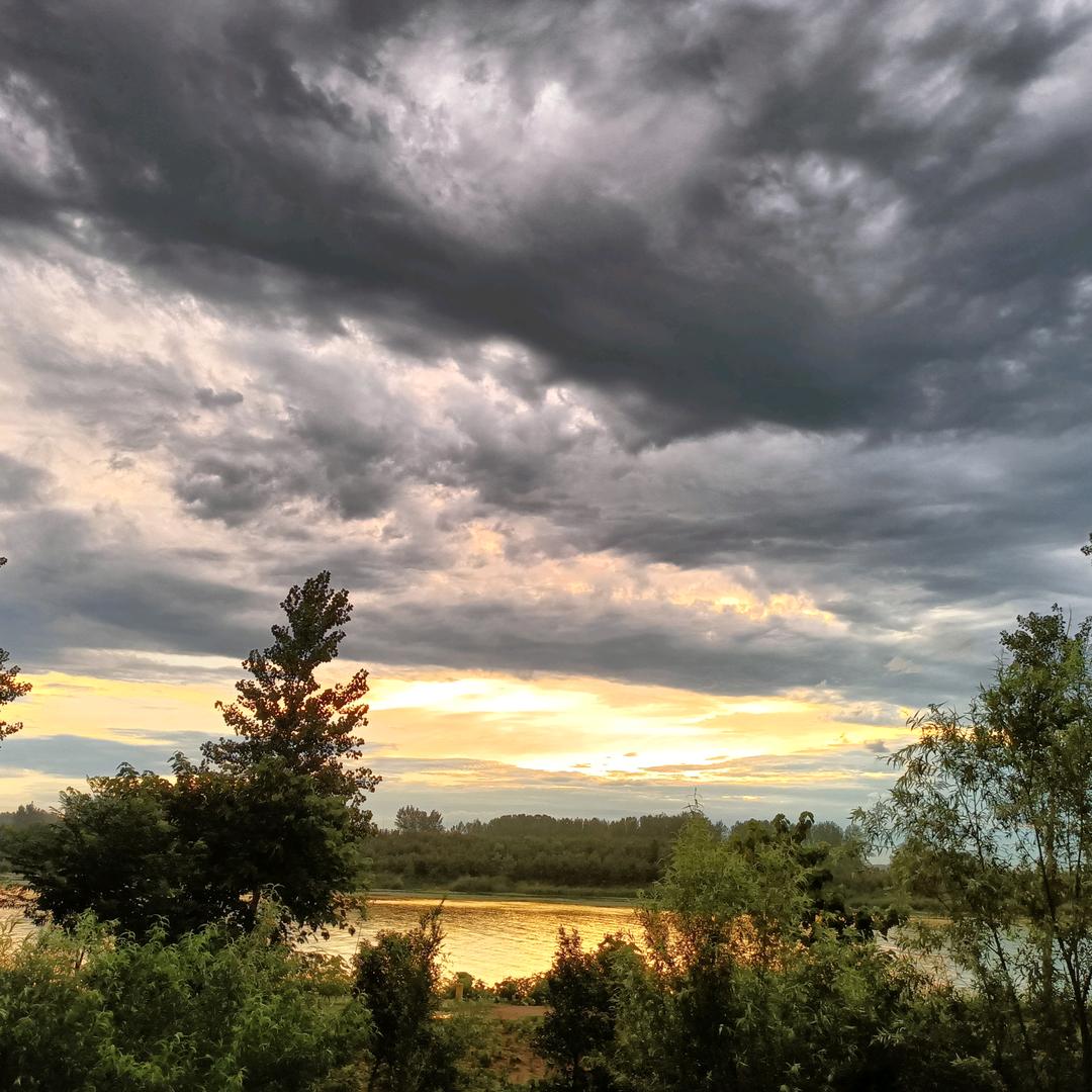 西王集赵家熟食