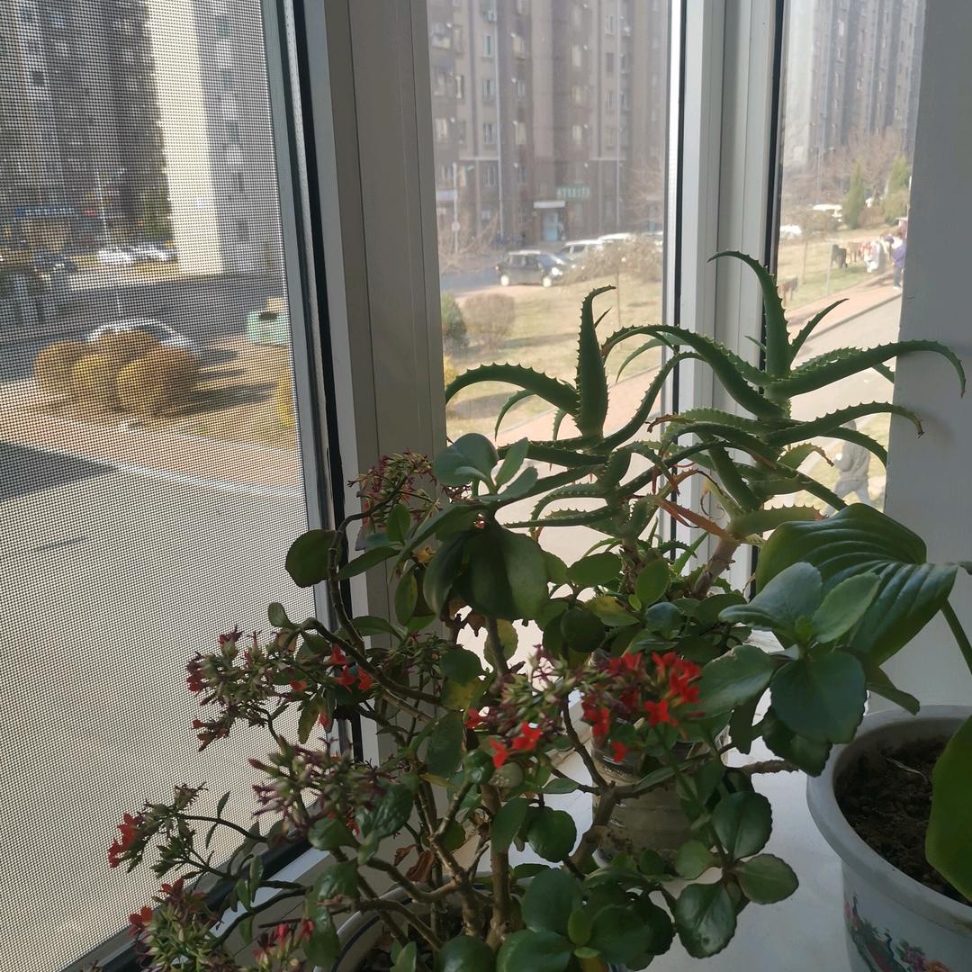 请有话好好说