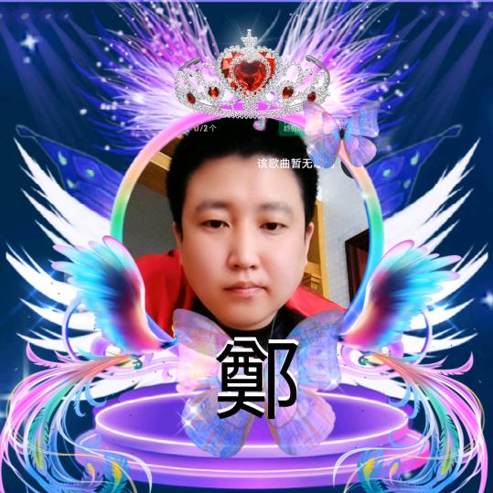 孤🐦独🐦鸟