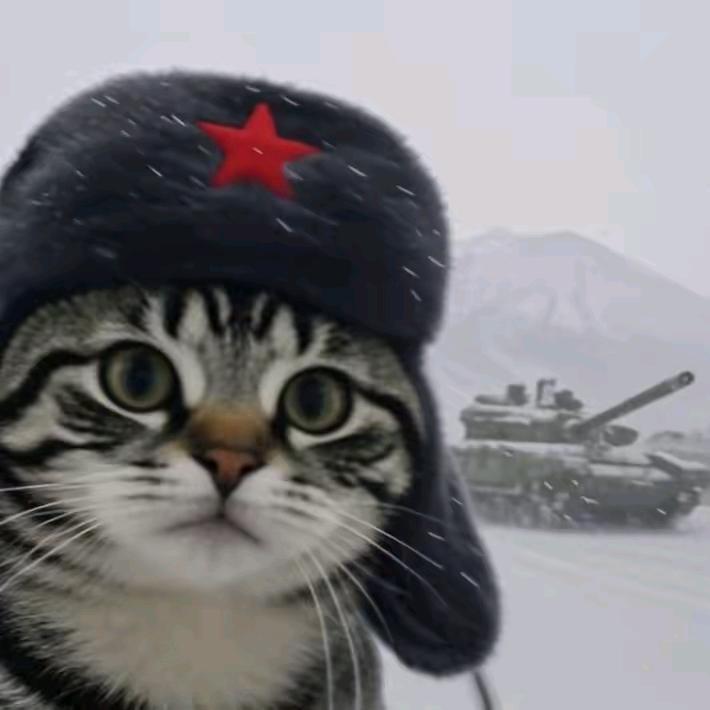 表哥