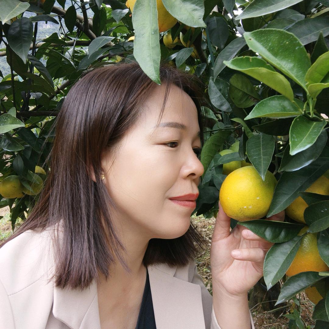 农村慧姐