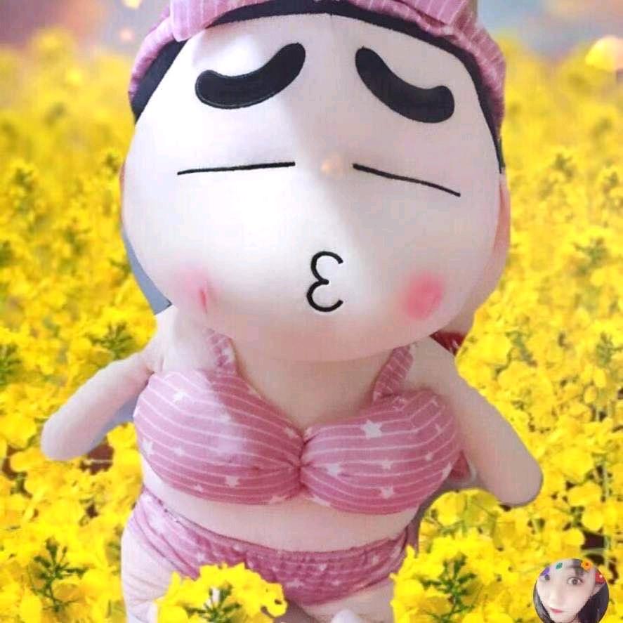 营宝
