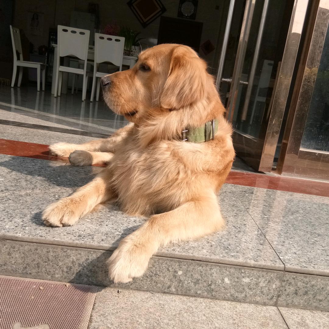 幸福平安