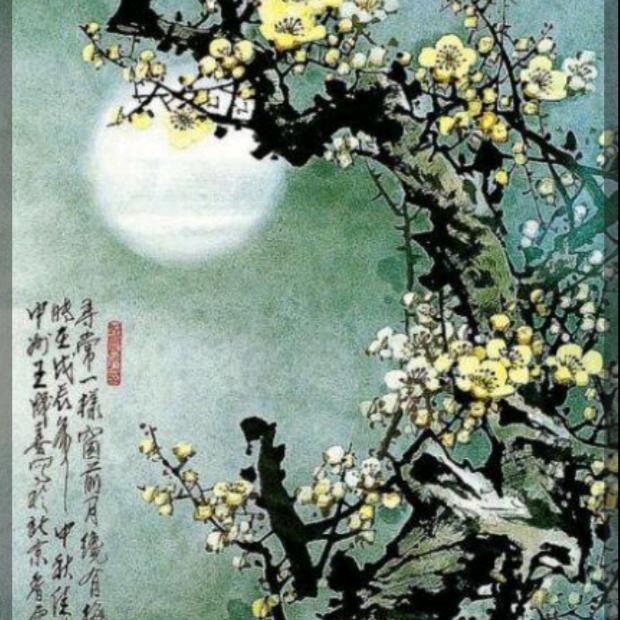 小屋大世界