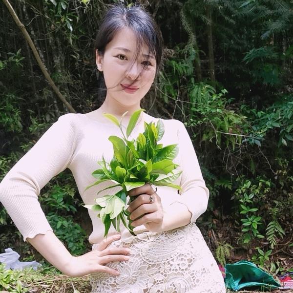 雾峰岩茶  小穆