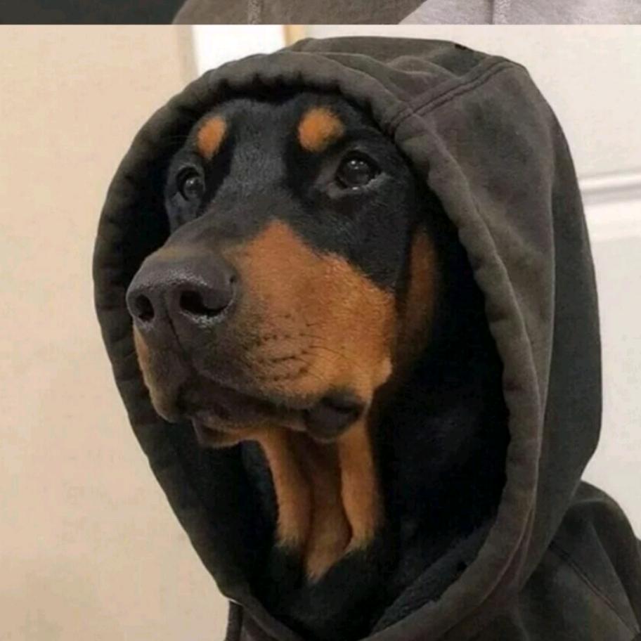 ⁶⁶美晕了⁶⁶