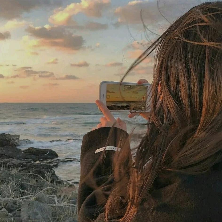 海棠花未眠