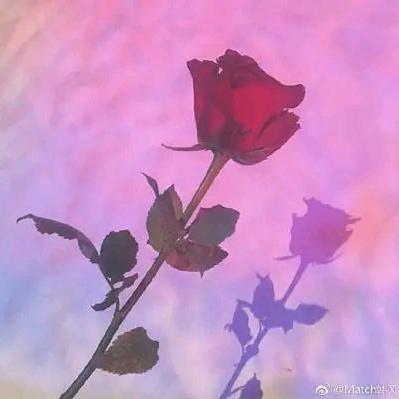 北方有好吃的。