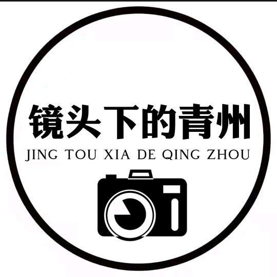 镜头下的青州