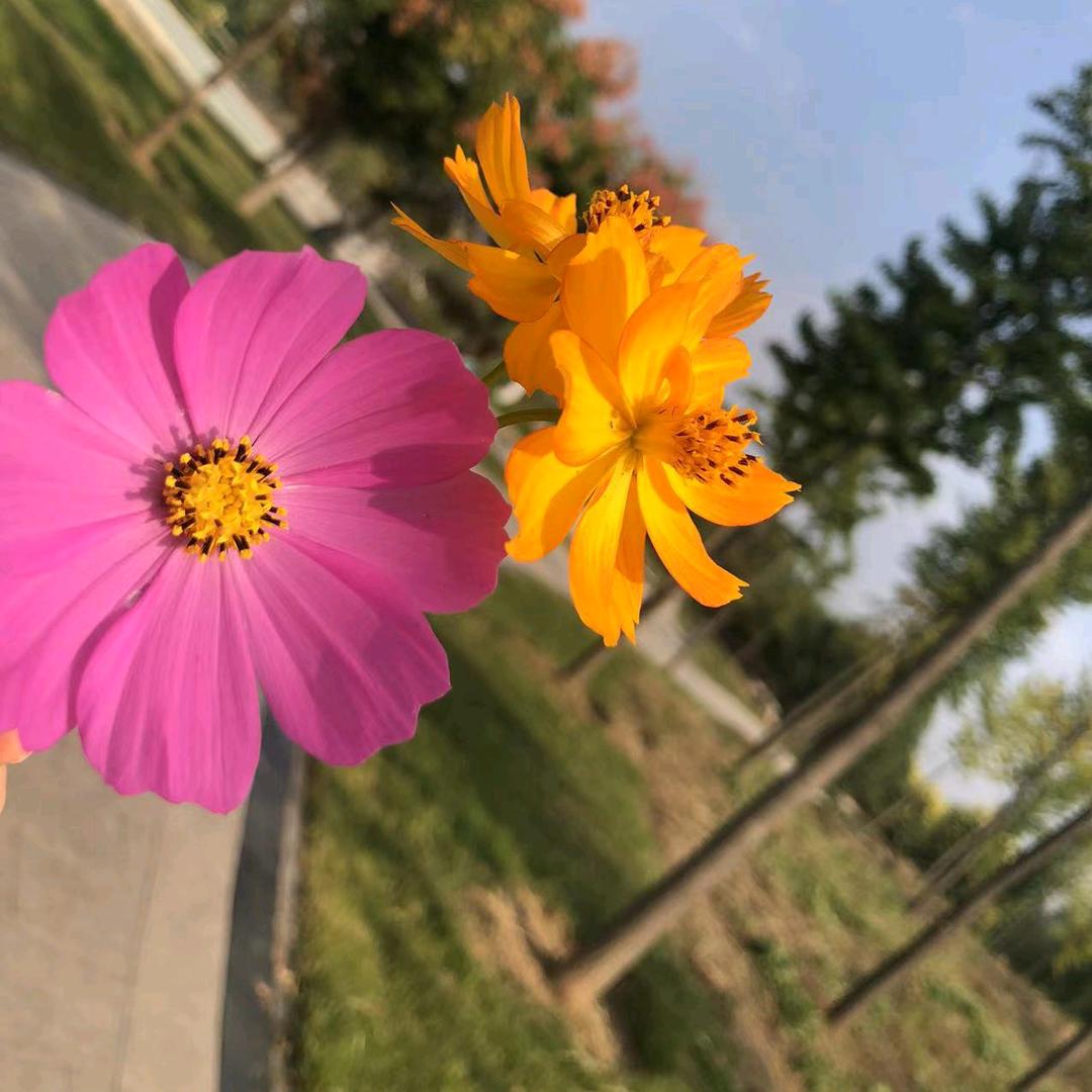 🌈幸福人生🌈