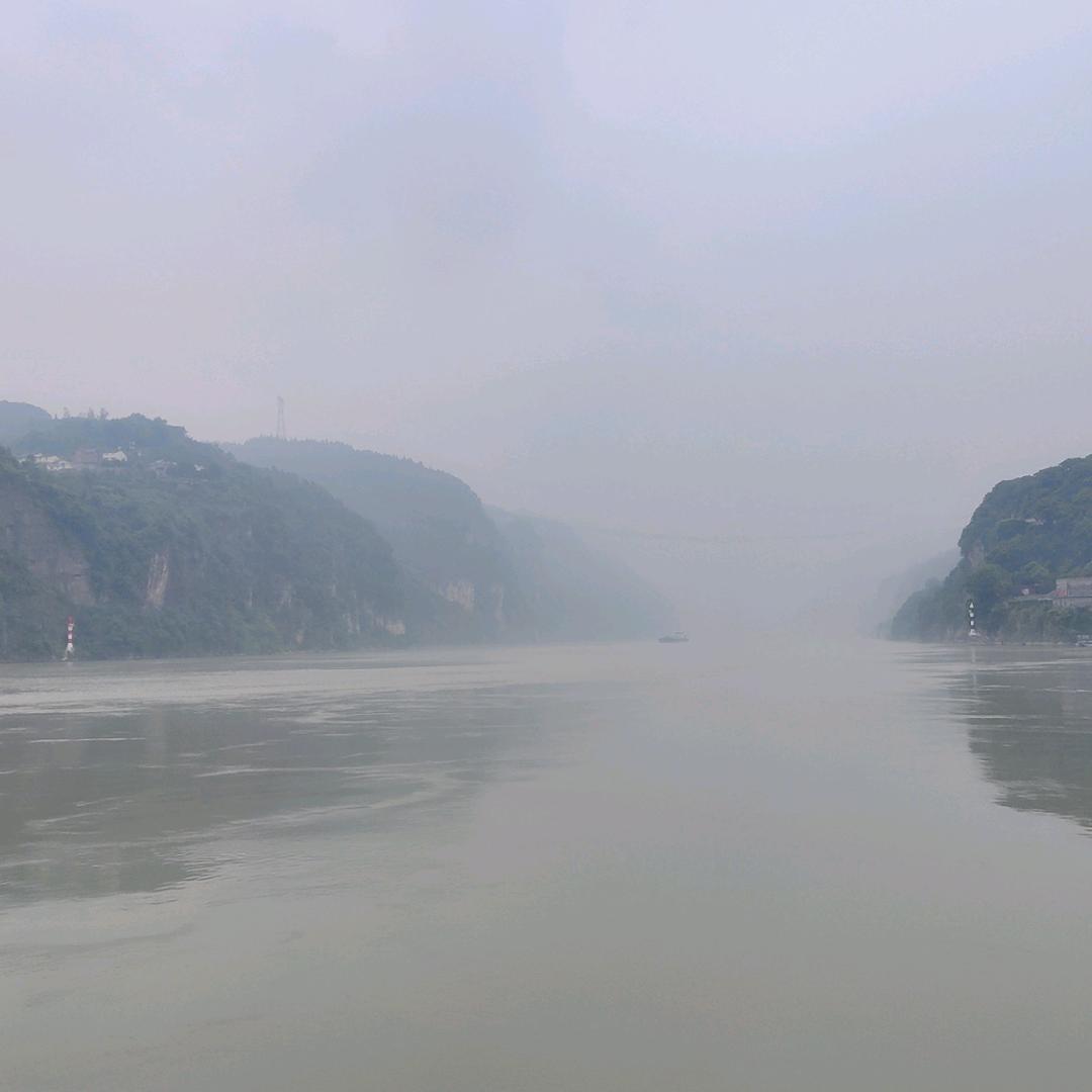 梦里花落知多少