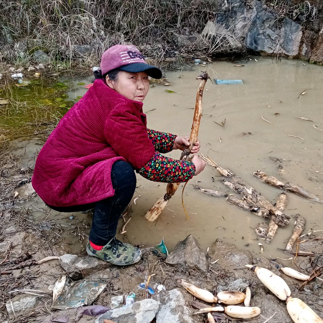 幸福老太，杨卯云