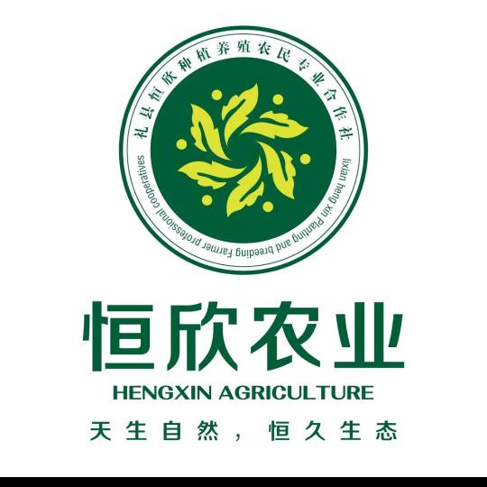 礼县恒欣农业