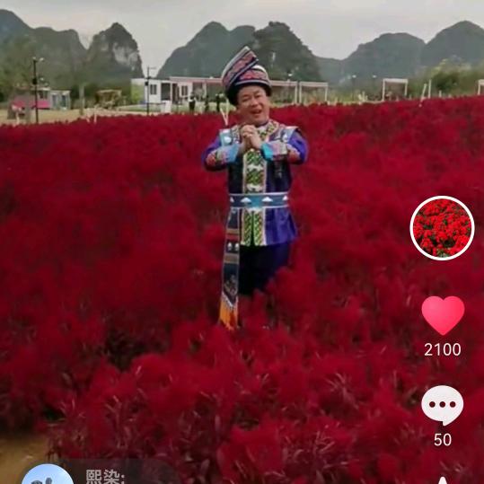 儒雅随和