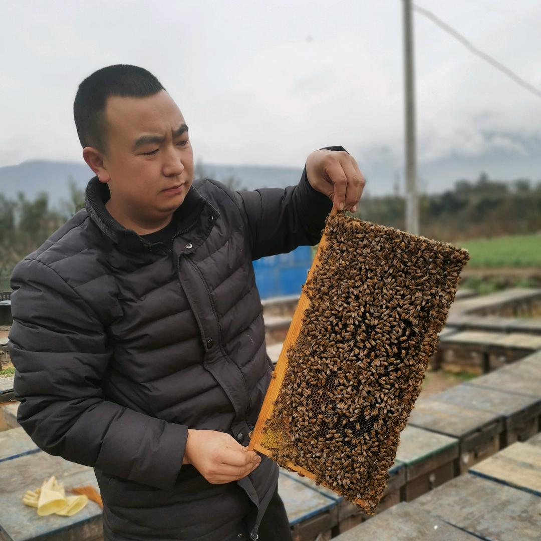 爱在一元前