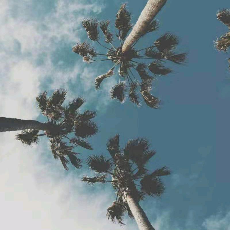 雄赳赳准备气死人