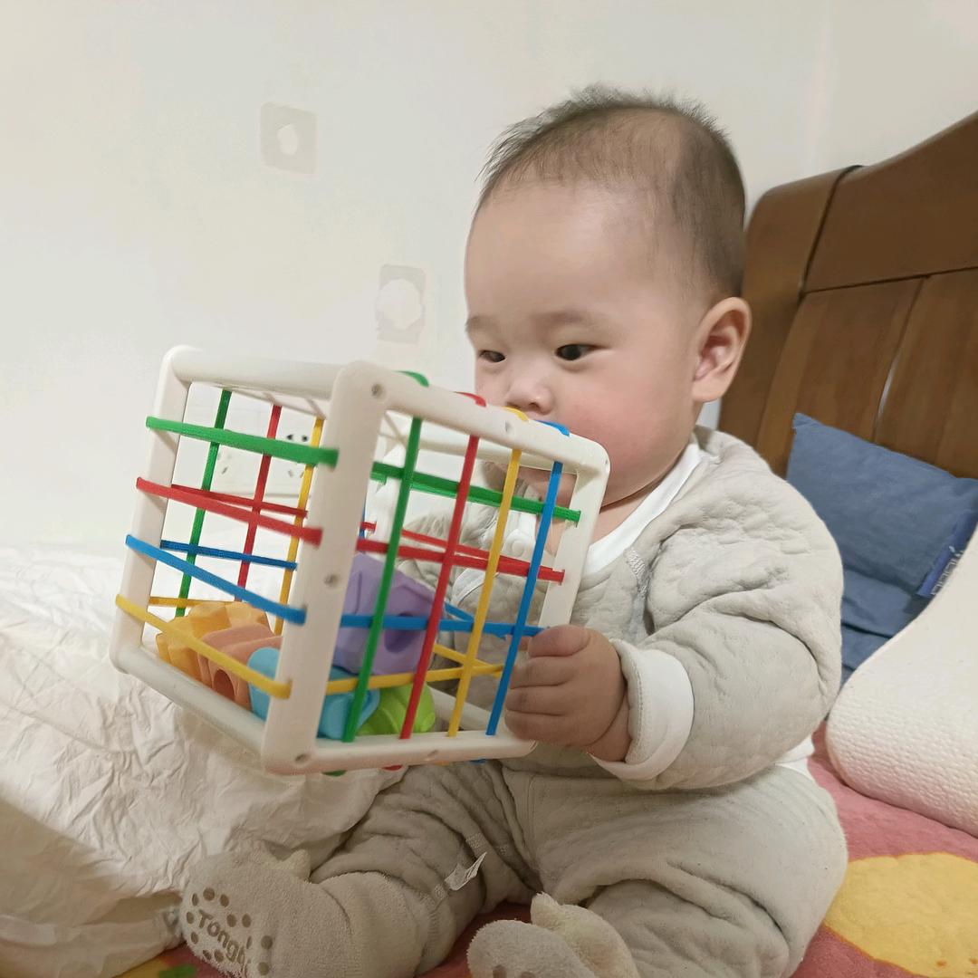 糖糖在兜兜里哦🐍🐍